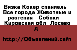 Вязка Кокер спаниель - Все города Животные и растения » Собаки   . Кировская обл.,Лосево д.